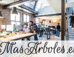 ¿Qué es una startup y cómo funcionan?