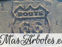 Guía para un road trip por la costa este de Estados Unidos