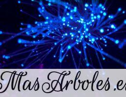 Tendencias tecnológicas que transformarán el 2025