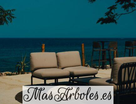 A couch and chair sitting on a patio next to the ocean