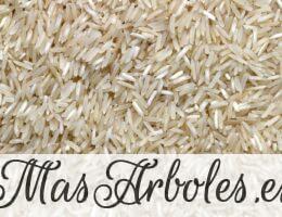 white rice grains on brown wooden table