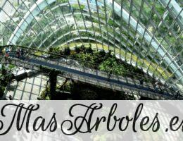 Como la naturaleza puede aportar innovación en tu negocio