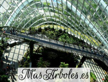 Como la naturaleza puede aportar innovación en tu negocio