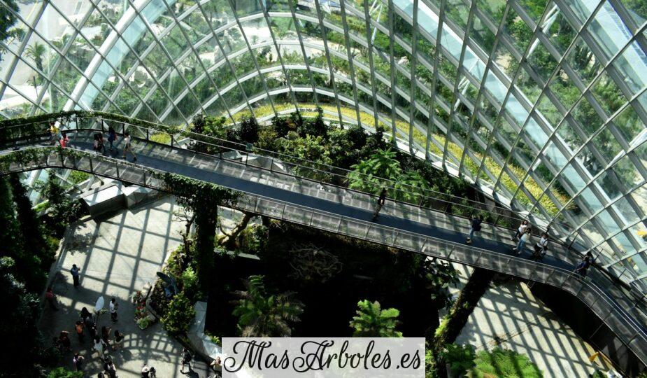 Como la naturaleza puede aportar innovación en tu negocio