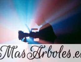 black and gray camera tripod