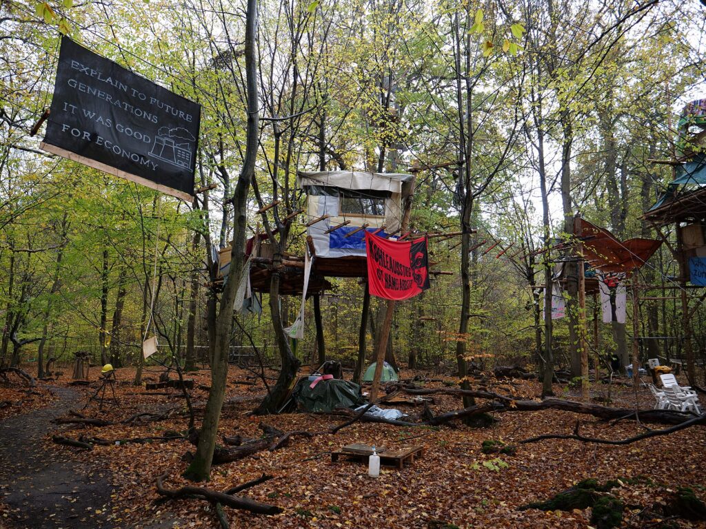 Cabaña en los árboles en un bosque